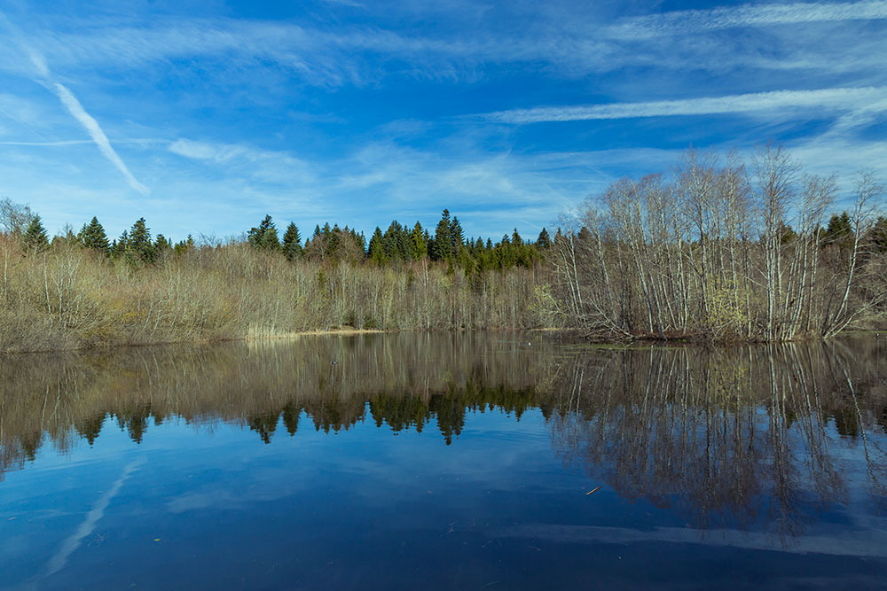 Étang de la Bressonne, Vaud