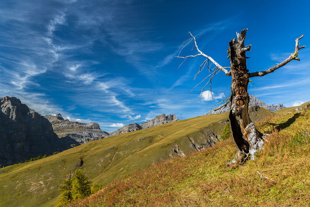 Rinderhütte, Valais