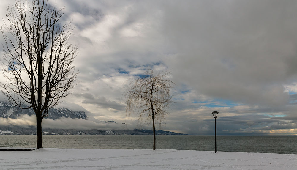 Lac Léman, Vaud